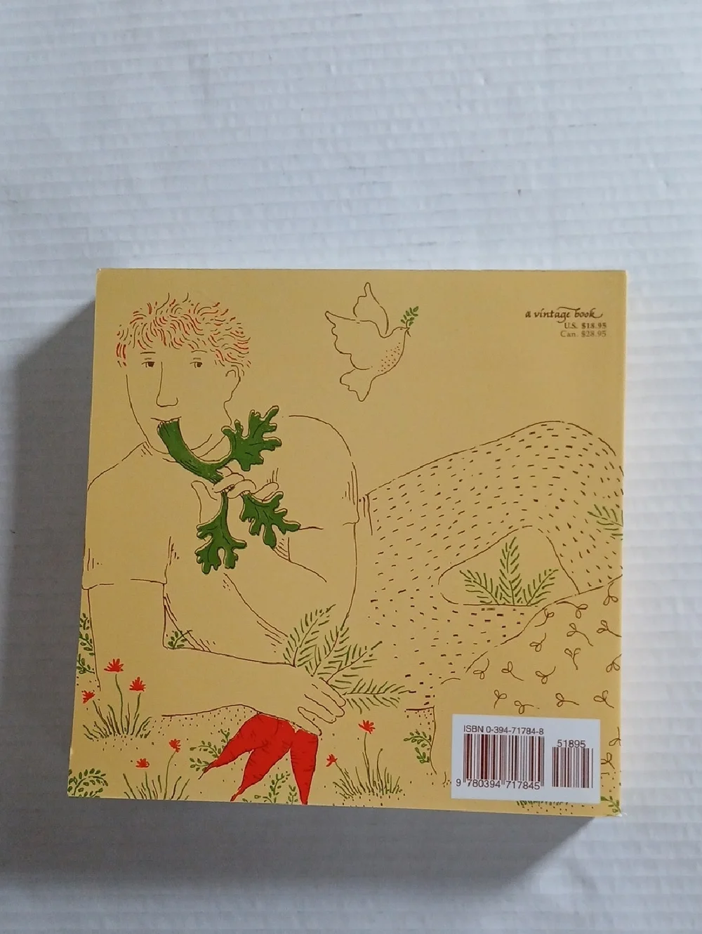 Vintage 70's The Vegetarian Epicure by Anna Thomas Paperback Vintage Books